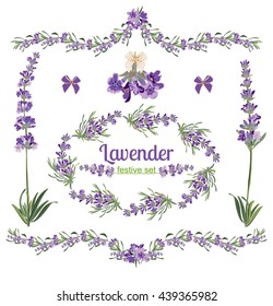 Set festive frames and elements with Lavender flowers for greeting card. Botanical illustration are drawn by hand