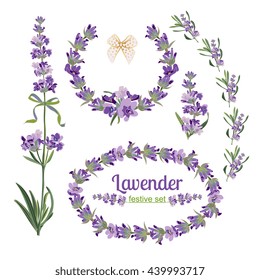 Set festive frames and elements with Lavender flowers for greeting card. Botanical illustration are drawn by hand