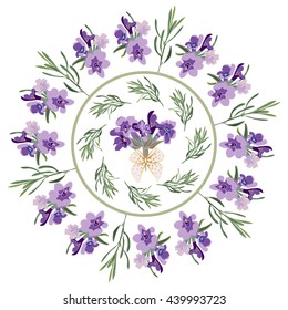 Set festive frames and elements with Lavender flowers for greeting card. Botanical illustration are drawn by hand