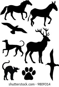 set of few animals vectors