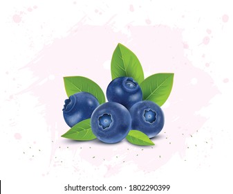 set of few blue berries vector illustration with green leaves