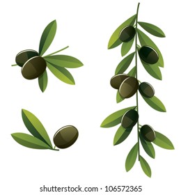 Set of few different black olive branches