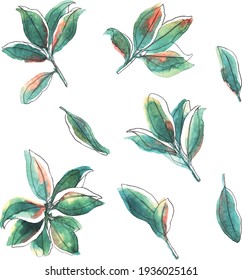 Set of ficus leaves on white background, watercolor illustration, wrapping paper, textile or interior wallpaper