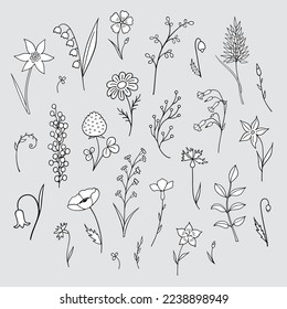 Set of  field flowers and herbs. Collection of isolated elements on a blue background. White and black.