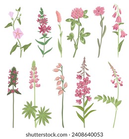 BlumenSatz, Vektorgrafik von Wildpflanzen auf weißem Hintergrund, Blumenbestandteile, handgezeichnet botanische Illustration