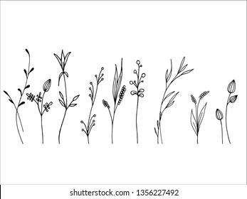 set of field herbs, black and white drawing