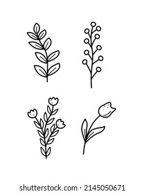 A set of field plants, meadow grass and flowers tulips poppies. Vector doodle illustration