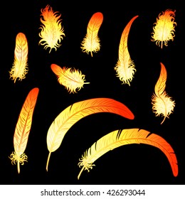 Set of fiery feathers of a rooster or phoenix on a black background. A  red cock chicken a symbol of new year 2017 on east Chinese horoscope.