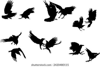 set of fighting crow silhouette on white background