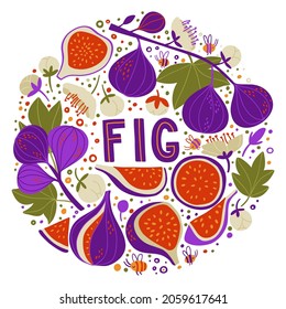 Set with figs on branches, fig halves and pieces, fig flowers and seeds. doodle lettering fig. Food background. Flat vegetables on white. Vegan, Grown, Natural