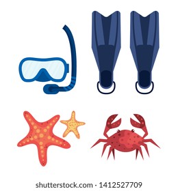 set fin water equipment with snorkel masks and starfishes with crab
