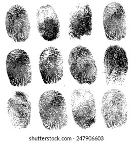 Set of fingerprints, vector illustration isolated on white