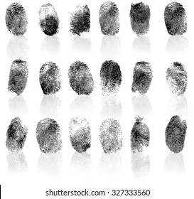 Set of fingerprints, vector illustration isolated on white