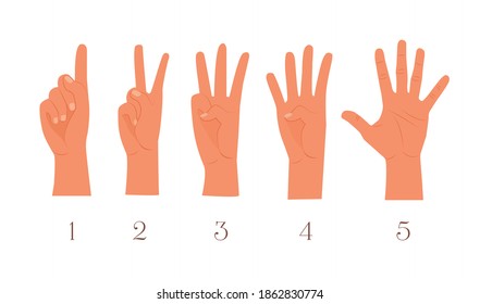 Third finger left hand