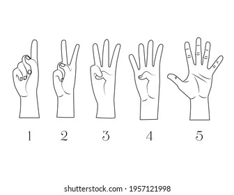 Set of fingers. first, second,  third, fourth, fifth, one, two, three, four, five fingers. Hand showing counts with fingers outline illustration. Showing  the numbers with the fingers of the hand line