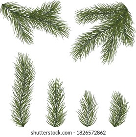 Set of fir branches for Christmas decor. Christmas tree branches close-up in a realistic style. EPS10