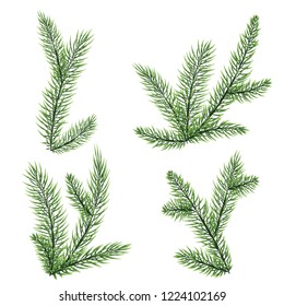 Set of fir branches. Christmas, new year winter holiday natural green symbols for your poster, invitation card, banner design pine, winter. isolated vector illustration.
