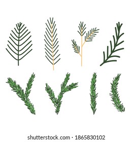 Set of fir branches. Christmas tree, pine, winter.