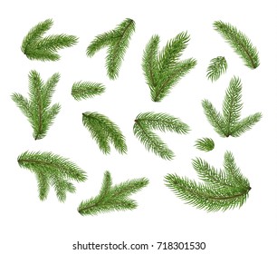 Set of fir branches. Christmas tree, pine, winter.  - Shutterstock ID 718301530