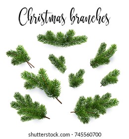 Set of fir branches. Christmas tree, pine, conifer. Realistic detailed vector illustrations. Symbol of Christmas and New Year isolated on white background for your design. EPS10