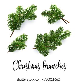 Set of fir branches. Christmas tree, pine. Realistic detailed vector illustrations. Symbol of Christmas and New Year isolated on white background for your design. EPS10