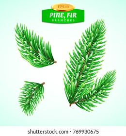 Set of fir branches, Christmas tree, pine tree. Symbol of Christmas and New Year. Decorations for winter holidays. Detailed realistic 3d illustration.
