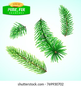 Set of fir branches, Christmas tree, pine tree. Symbol of Christmas and New Year. Decorations for winter holidays. Detailed realistic 3d illustration.