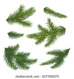 A set of fir branches. Christmas. vector .Eps 10.