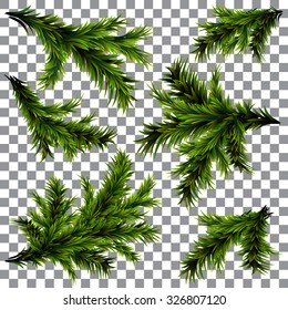 Set fir branches for design
