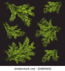 Set fir branches for design