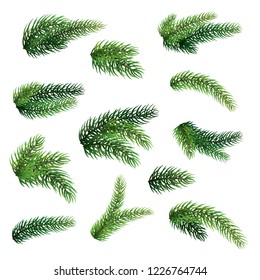 Set of fir branches isolated on white background. Christmas tree.