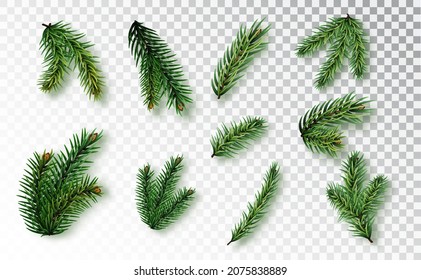 Set of fir branches isolated on a transparent background. an create a variety of New Year's compositions for your festive design