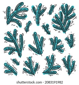 Conjunto de ramas de abeto aisladas en un fondo blanco. Dibujo vectorial de garras de pino para decoración, etiquetas, papel pintado