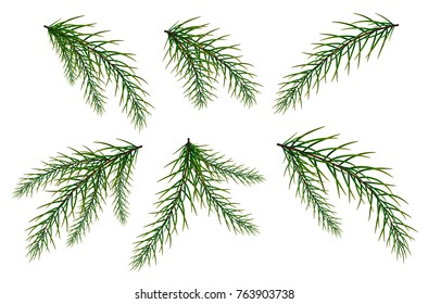 A set of fir branches. New Year's and Christmas. The Christmas tree.