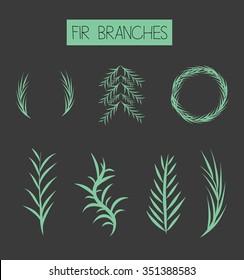 Set of fir branches on a black background. Isolated illustration in vector format