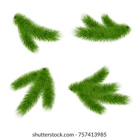 Set of fir branches on white background