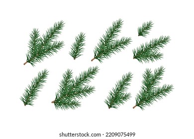 Satz von Tannenästen, Kiefer, Nadelbäume. Einzeln Weihnachten, Neujahrsbaumdekorative Elemente. Vektorgrafik.