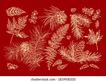 С navidad con ramas de abeto y pino, conos, helechos y hojas. Ilustración vectorial. Fondo rojo y patrón dorado.