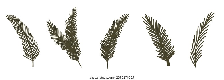 Set of fir tree branches. Vector Christmas illustration. Xmas and New Year green conifer plant elements isolated on white background. Winter holiday icons, evergreen pine parts.