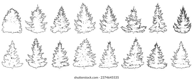 Set of fir trees for architecture and landscape design, contour. Vector illustration