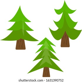 set of fir trees with green tops beautiful forest plants on a white background concept of nature and winter holidays