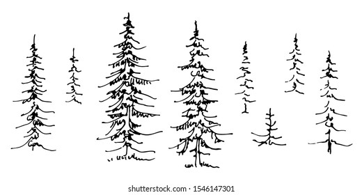 set of fir trees hand-drawn doodle sketch black line on white background