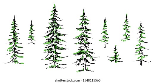 set of fir trees hand-drawn felt-pen doodle sketch on white background