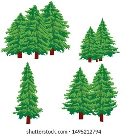 Set of fir trees isolated on white background