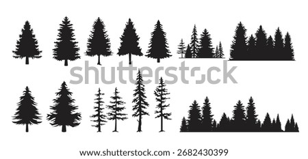 set of fir trees silhouette forest view pine trees