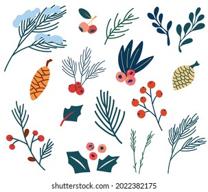 Set of fir twigs berries and cones. Christmas plants. Holly berries, pine or fir cones, branch of mistletoe and coniferous trees. Holiday symbols. Winter holidays and celebration. Vector decoration.