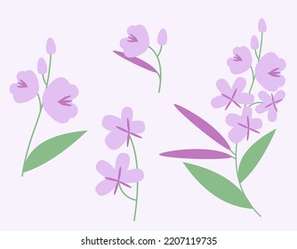 Set of fireweed design elements. Wildflowers in flat style.