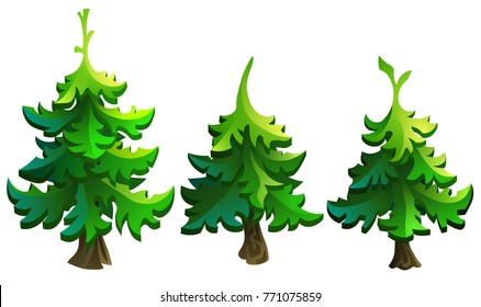 set of firs for decoration. Vector illustration Isolated on White Background.