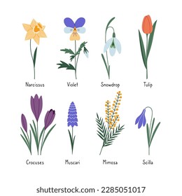 Set of first spring flowers with captions, cartoon style. Trendy modern vector illustration isolated on white background, hand drawn, flat design.