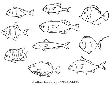 A set of the fisch doodles, simple drawn outline. 
Hand drawn fishes.